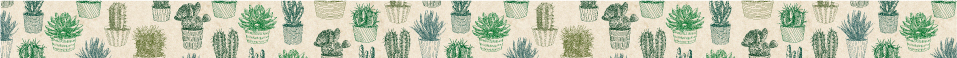cactus(20mm×10m)