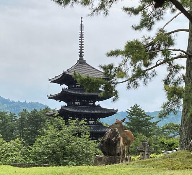 nara.jpg