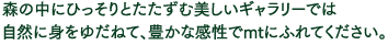 森の中にひっそりとたたずむ美しいギャラリーでは 自然に身をゆだねて、豊かな感性でmtにふれてください。