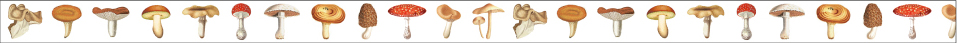 mushroom (15mm)