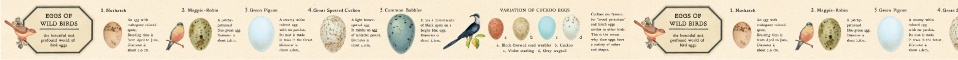 鳥の卵 （21mm）