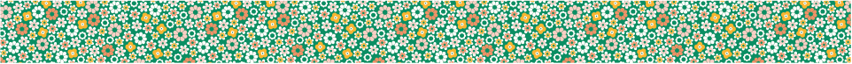 mt for pack 野原 （25mm×15m）
