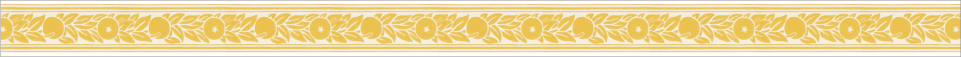 Morris & Co. Orange Border （20mm×7m）