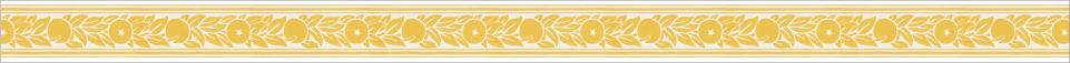 Morris & Co. Orange Border （20mm×7m）