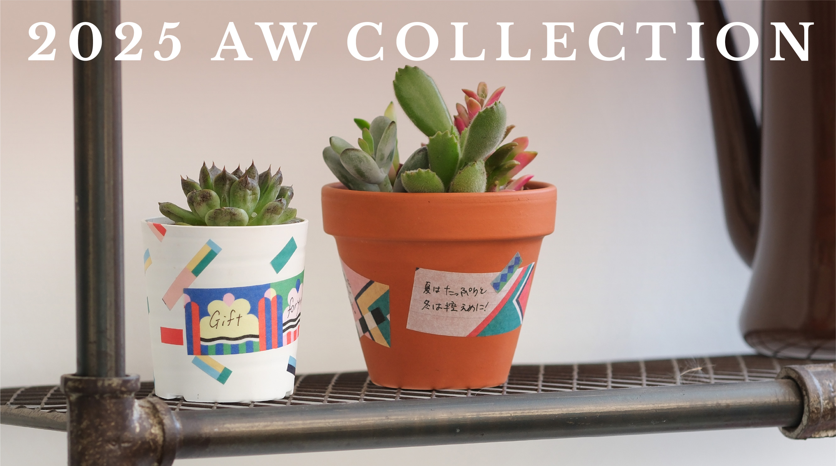 2025 AW COLLECTION
