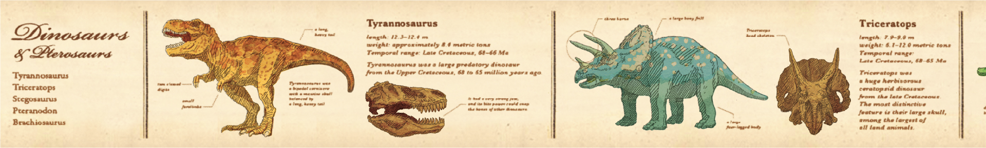 mt ex encyclopedia dinosaur［ 30mm × 7m ］