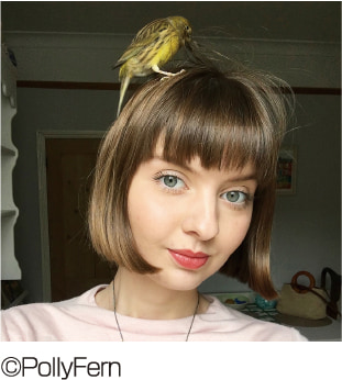 Polly Fern