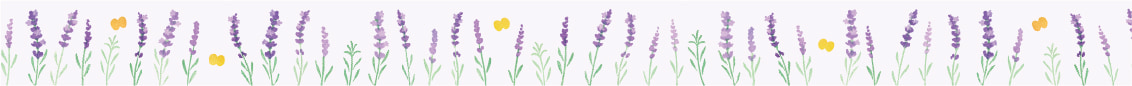maruichikyu lavender