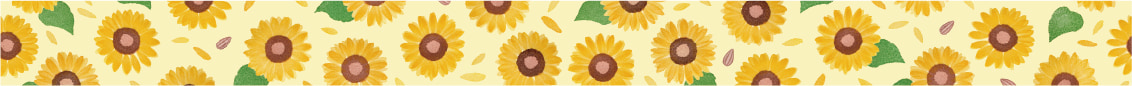 maruichikyu sunflower