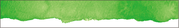 watercolor paint green （15mm/9mm×7m）