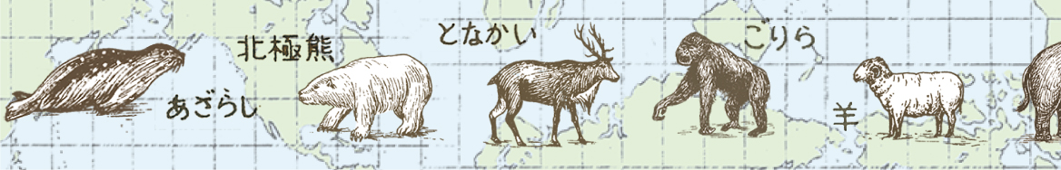 mt ex world animals(15mm×7m)